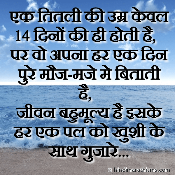 Ek Titli Ki Umar Keval 14 Dino Ki Hi Hoti Hai एक तितली की उम्र केवल 14 दिनों की ही होती है Photo SMS Jivan Bahumulya Hai Image