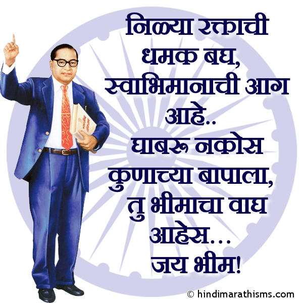 Nilya Raktachi Dhamak Bagh Photo SMS Jay Bhim Attitude SMS AMBEDKAR JAYANTI SMS MARATHI Image
