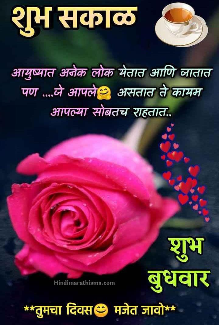 Shubh Budhwar Shubh Sakal 500 More Best Shubh Budhwar Status